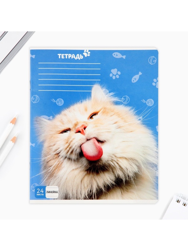 Тетрадь в линейку 24 листа А5, на скрепке «1 сентября: Милые питомцы», 5 видов МИКС, белизна 96% .
