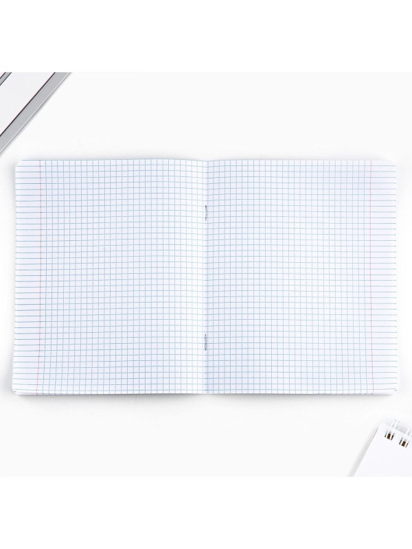 Тетрадь в клетку 24 листа А5, на скрепке «1 сентября: Корги», обложка мелованный картон, 5 видов МИКС