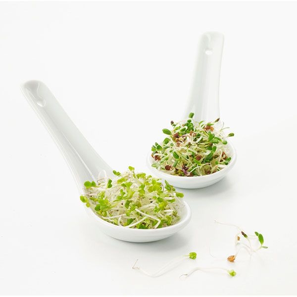 Ложка для мисосупа;фарфор;,H=55,L=155,B=135мм;белый