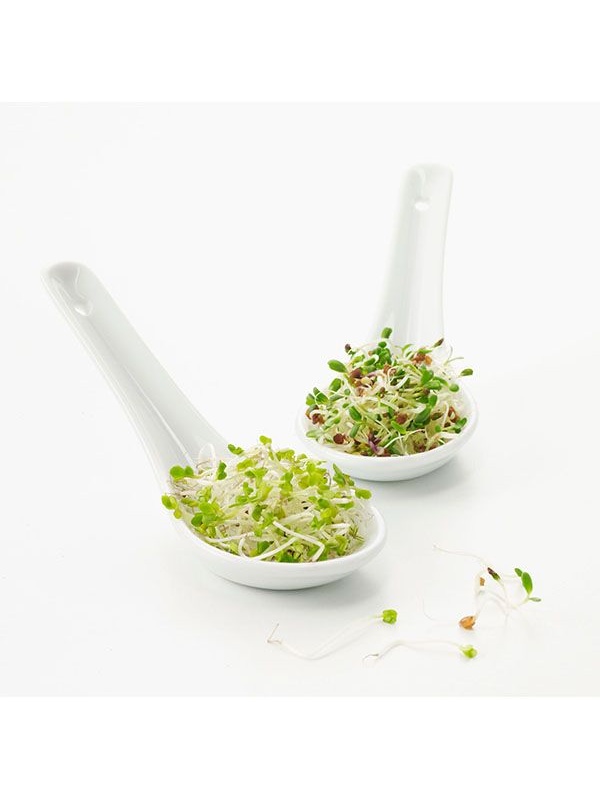 Ложка для мисосупа;фарфор;,H=55,L=155,B=135мм;белый