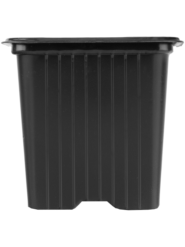 Горшочек для рассады, 70 х 70 х 65 мм, полистирол, 5 шт, Россия