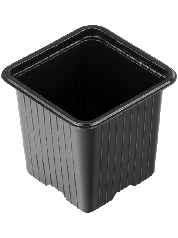 Горшочек для рассады, 70 х 70 х 65 мм, полистирол, 5 шт, Россия