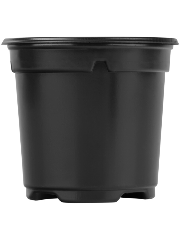 Горшочек для рассады, 90 х 80 мм, полистирол, 20 шт, Россия