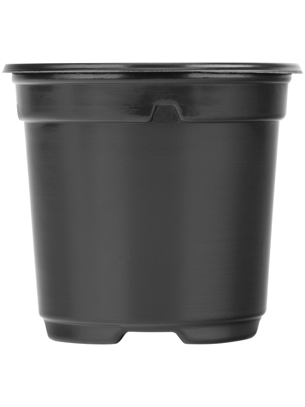 Горшочек для рассады, 90 х 80 мм, полистирол, 10 шт, Россия