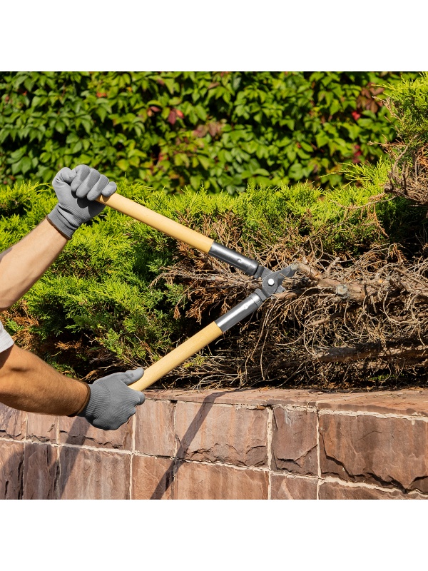 Сучкорез прямого реза, 500 мм, деревянные рукоятки, Горизонт, Россия