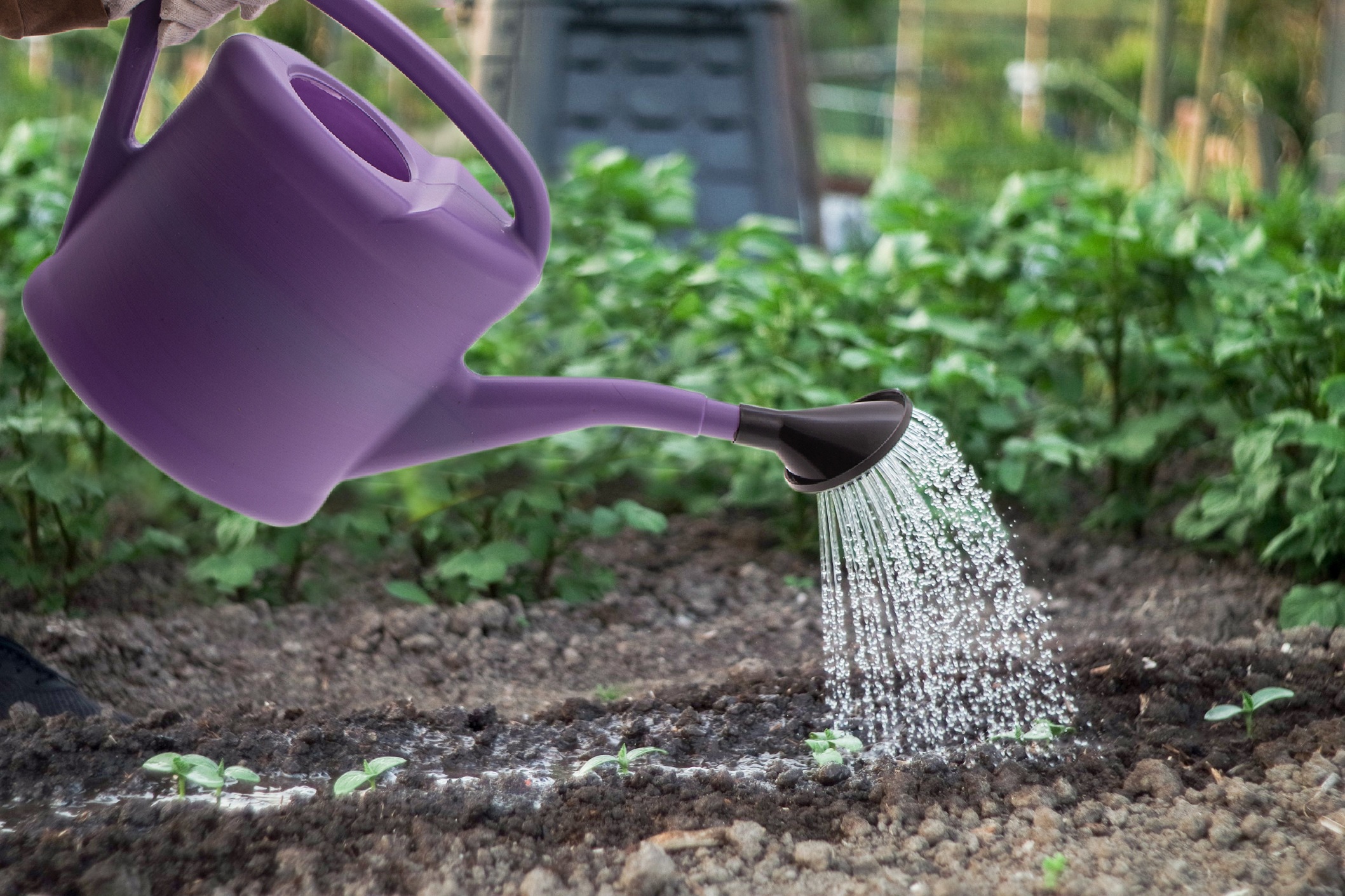 Лейка садовая, 8 л, пластмассовая Россия