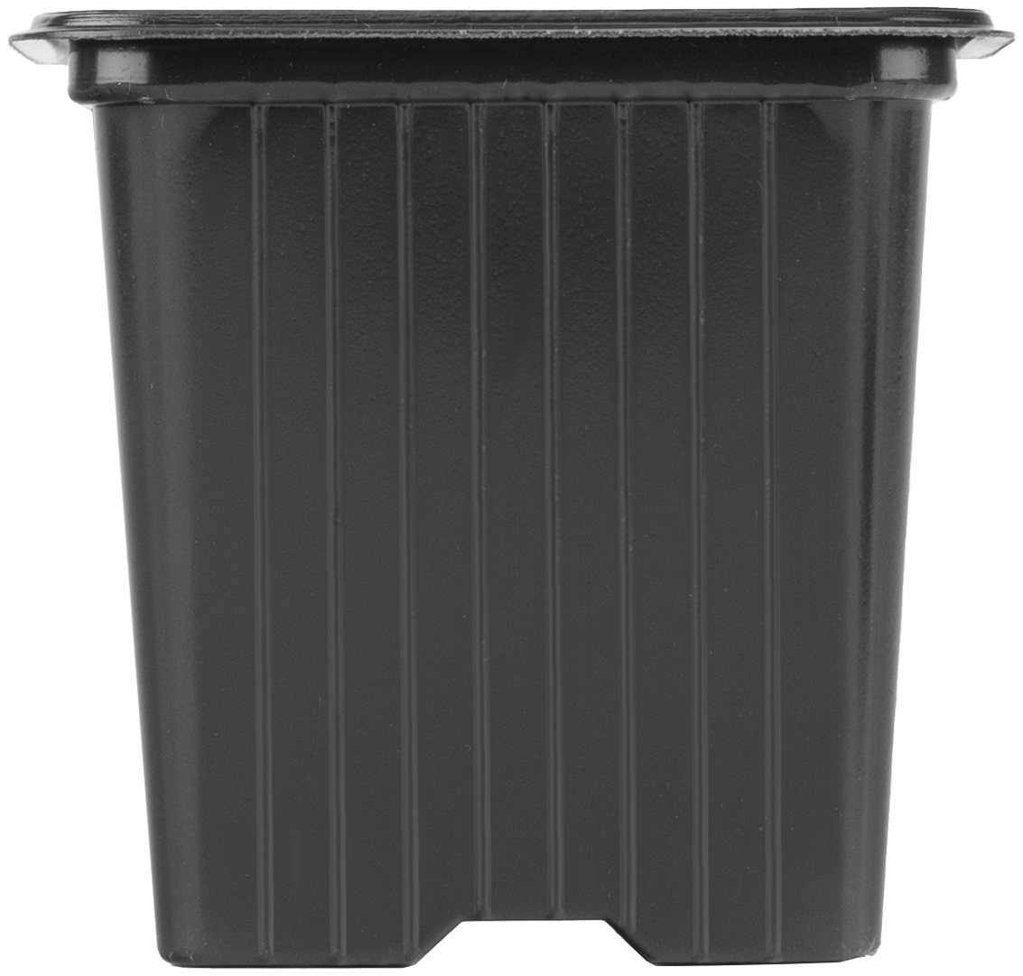 Горшочек для рассады, 70 х 70 х 65 мм, полистирол, 10 шт, Россия