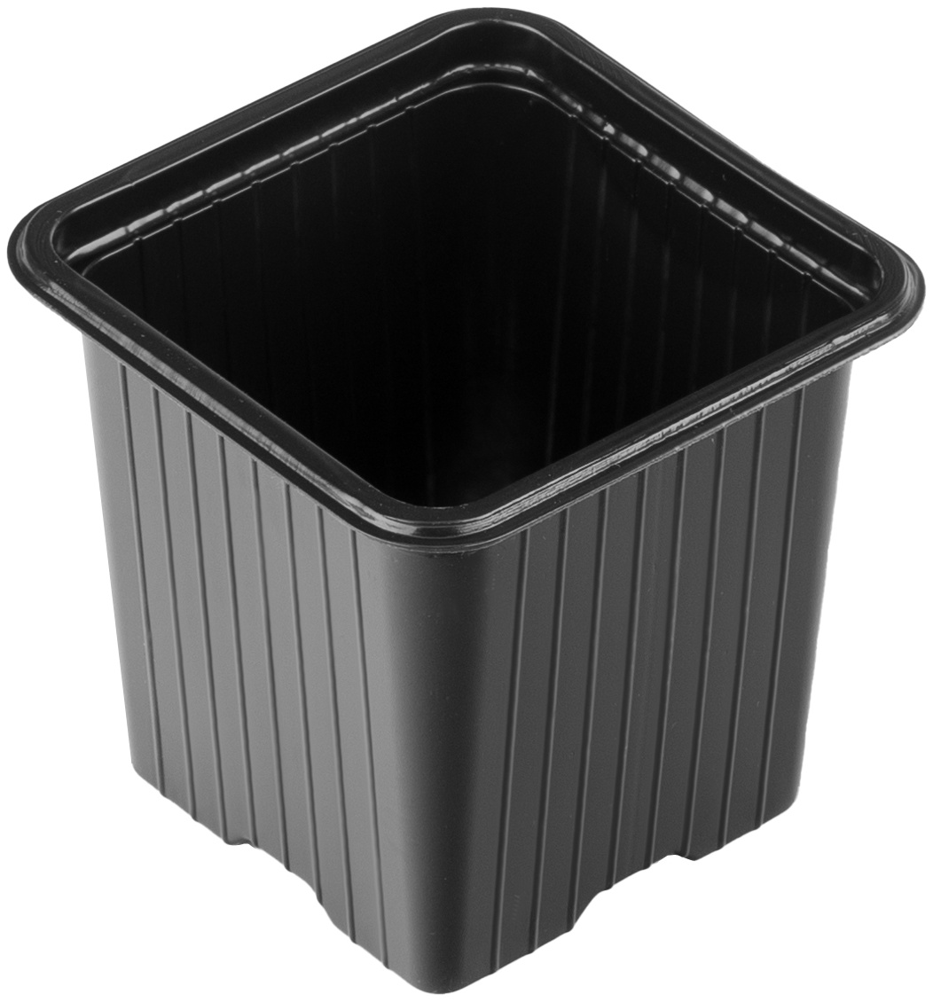 Горшочек для рассады, 70 х 70 х 65 мм, полистирол, 10 шт, Россия