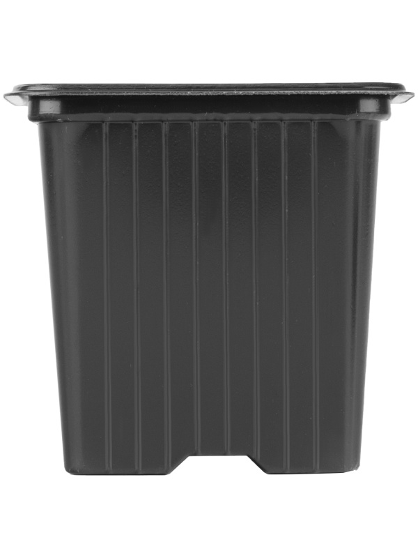 Горшочек для рассады, 70 х 70 х 65 мм, полистирол, 10 шт, Россия