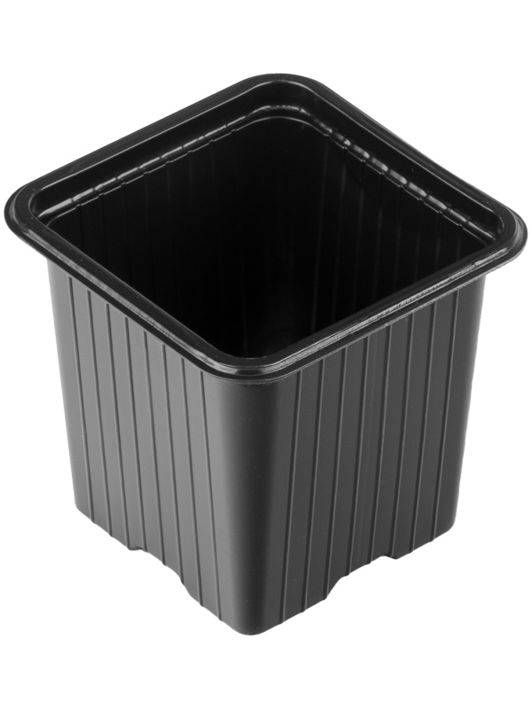 Горшочек для рассады, 70 х 70 х 65 мм, полистирол, 10 шт, Россия