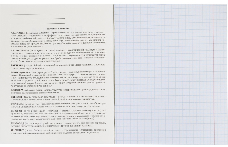 Тетрадь предметная 48л. 'MINI FRIENDS', набор 10 шт., 48-2519