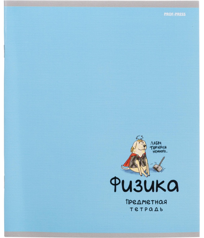 Тетрадь предметная 48л. 'MINI FRIENDS', набор 10 шт., 48-2519