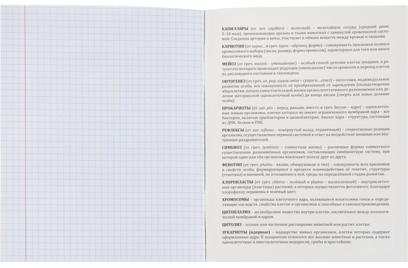 Тетрадь предметная 48л. 'MINI FRIENDS', набор 10 шт., 48-2519