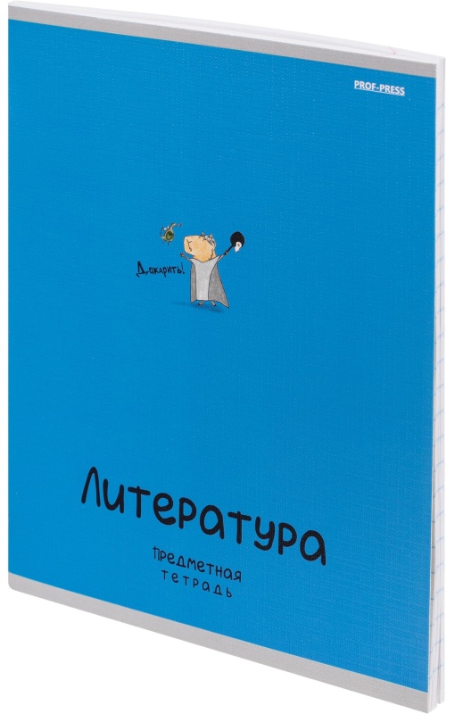 Тетрадь предметная 48л. 'MINI FRIENDS', набор 10 шт., 48-2519