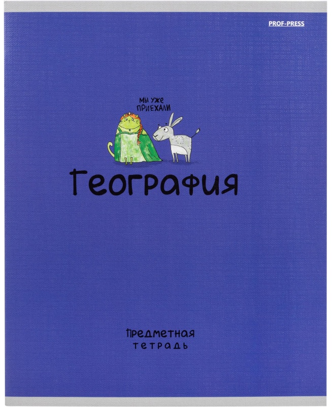 Тетрадь предметная 48л. 'MINI FRIENDS', набор 10 шт., 48-2519