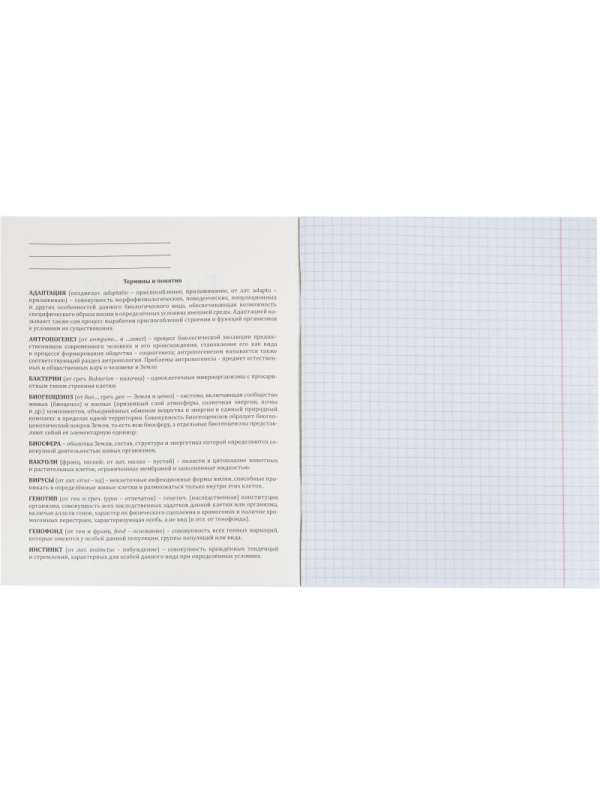 Тетрадь предметная 48л. 'MINI FRIENDS', набор 10 шт., 48-2519