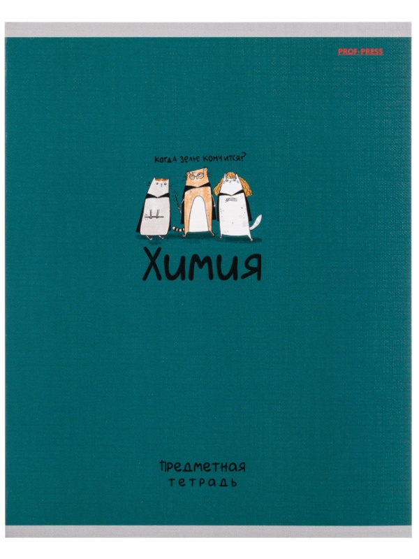 Тетрадь предметная 48л. 'MINI FRIENDS', набор 10 шт., 48-2519