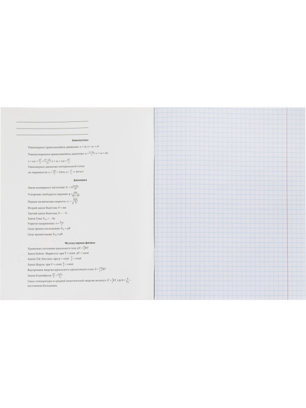 Тетрадь предметная 48л. 'MINI FRIENDS', набор 10 шт., 48-2519