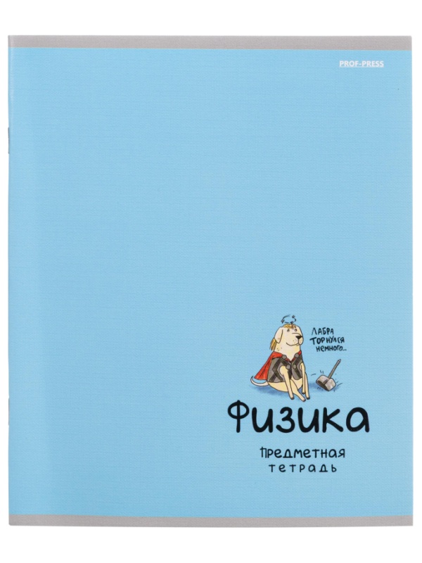 Тетрадь предметная 48л. 'MINI FRIENDS', набор 10 шт., 48-2519