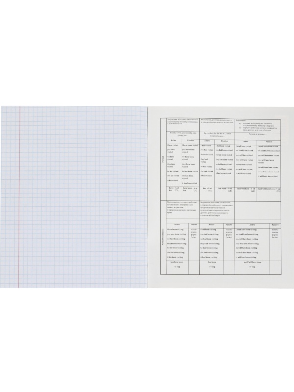 Тетрадь предметная 48л. 'MINI FRIENDS', набор 10 шт., 48-2519