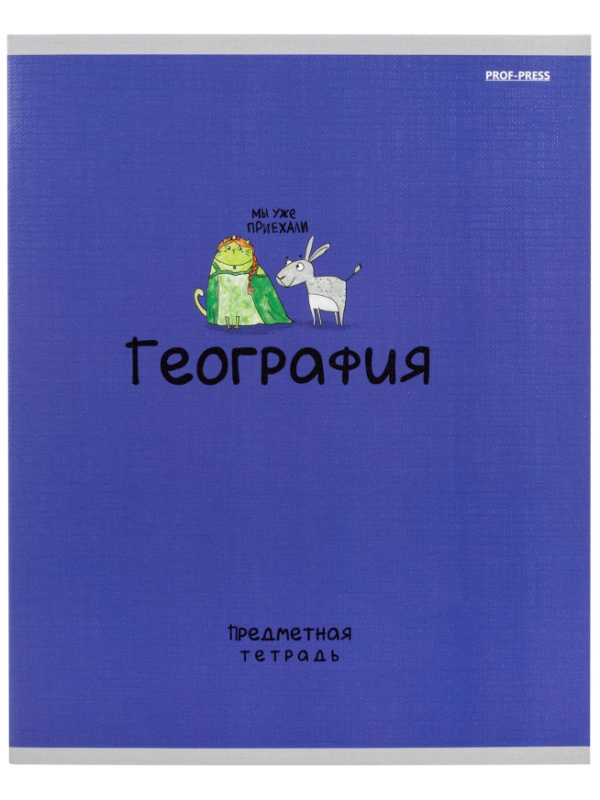 Тетрадь предметная 48л. 'MINI FRIENDS', набор 10 шт., 48-2519