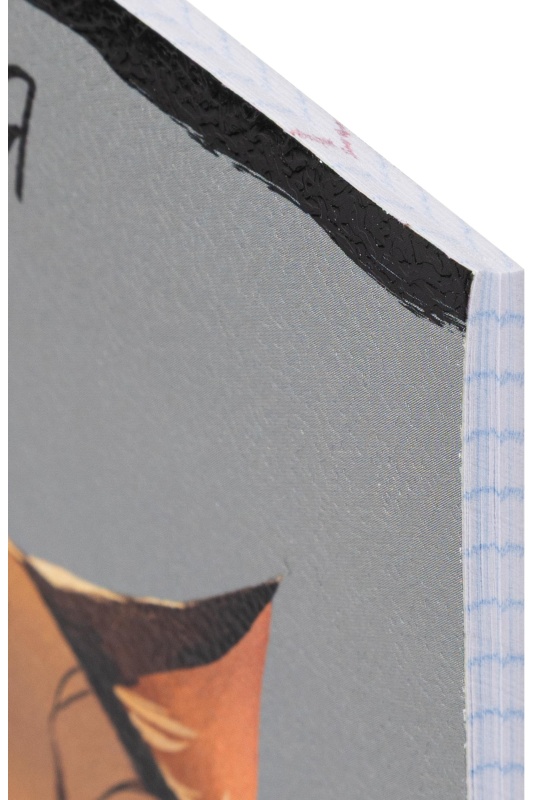 Тетрадь предметная 48л. 'ПРО ХВОСТ', набор 10 шт.,48-2736