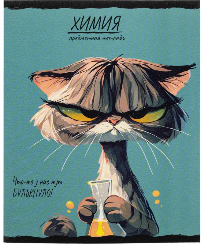 Тетрадь предметная 48л. 'ПРО ХВОСТ', набор 10 шт.,48-2736