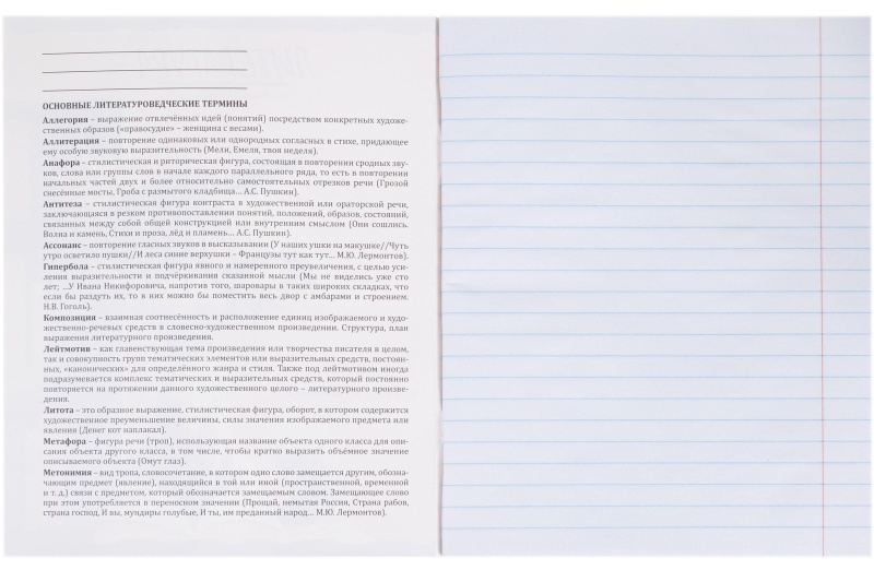 Тетрадь предметная 48л. 'ПРО ХВОСТ', набор 10 шт.,48-2736