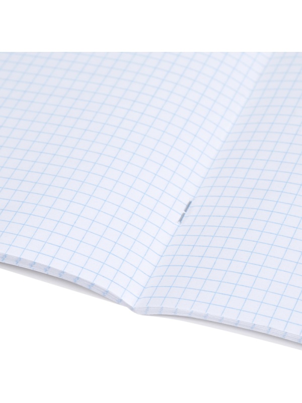 Тетрадь предметная 48л. 'ПРО ХВОСТ', набор 10 шт.,48-2736