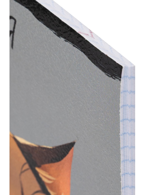 Тетрадь предметная 48л. 'ПРО ХВОСТ', набор 10 шт.,48-2736