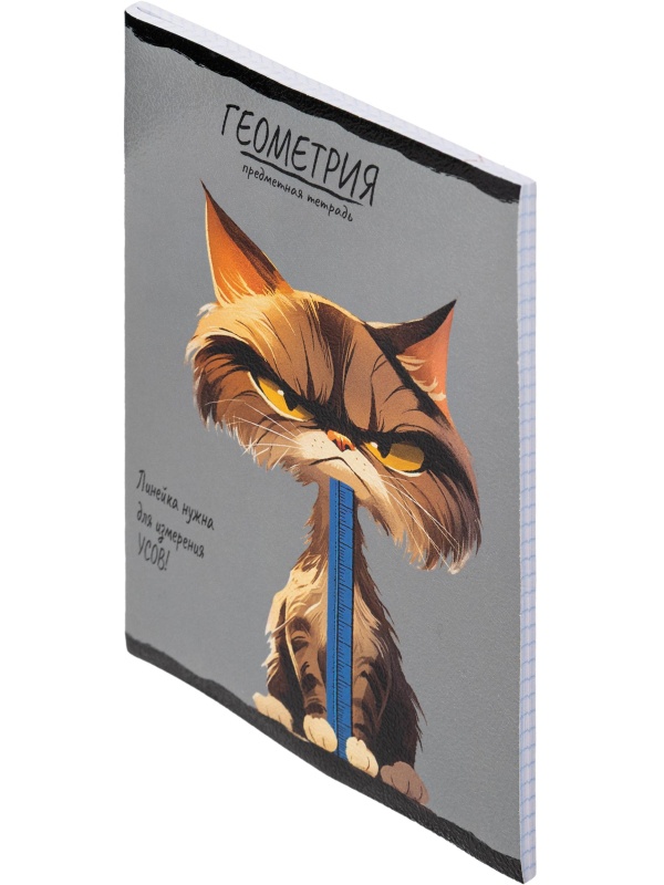 Тетрадь предметная 48л. 'ПРО ХВОСТ', набор 10 шт.,48-2736