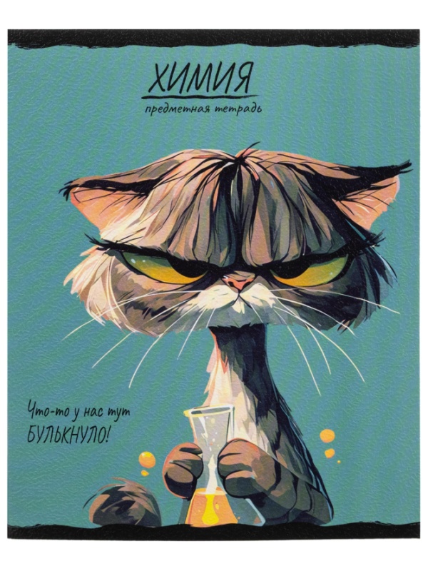 Тетрадь предметная 48л. 'ПРО ХВОСТ', набор 10 шт.,48-2736