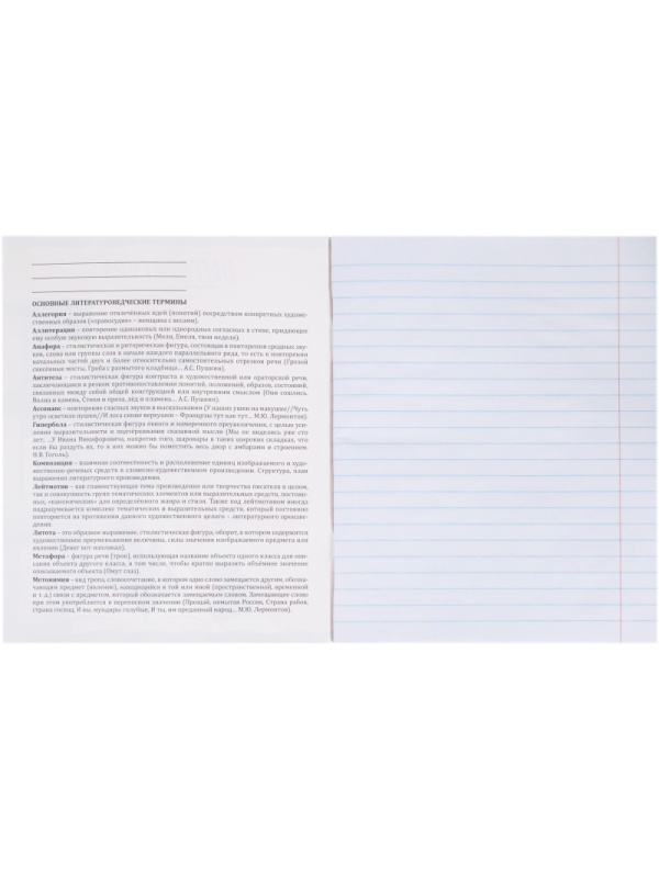 Тетрадь предметная 48л. 'ПРО ХВОСТ', набор 10 шт.,48-2736