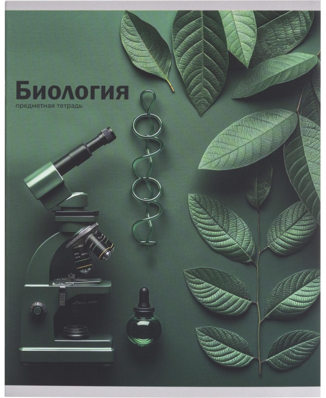 Тетрадь предметная 48л. 'НА УРОКЕ', набор 12 шт., 48-2380