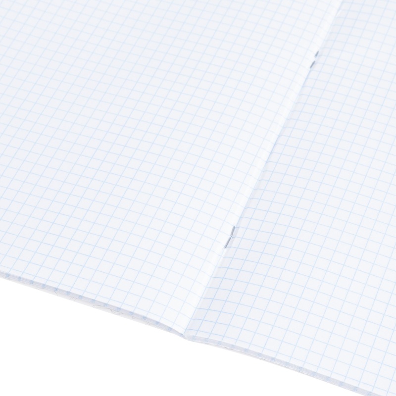 Тетрадь предметная 48л. 'НА УРОКЕ', набор 12 шт., 48-2380