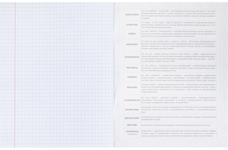 Тетрадь предметная 48л. 'НА УРОКЕ', набор 12 шт., 48-2380