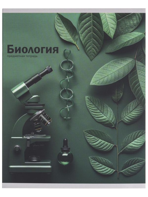 Тетрадь предметная 48л. 'НА УРОКЕ', набор 12 шт., 48-2380