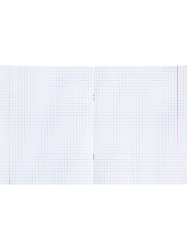 Тетрадь предметная 48л. 'НА УРОКЕ', набор 12 шт., 48-2380