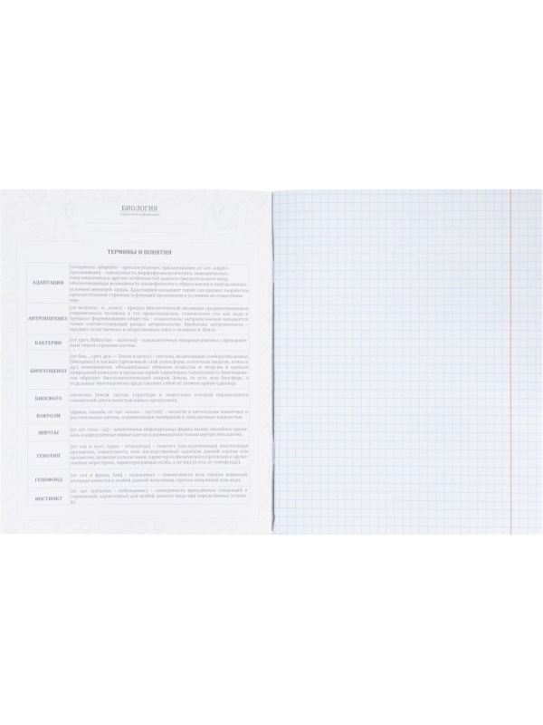 Тетрадь предметная 48л. 'НА УРОКЕ', набор 12 шт., 48-2380