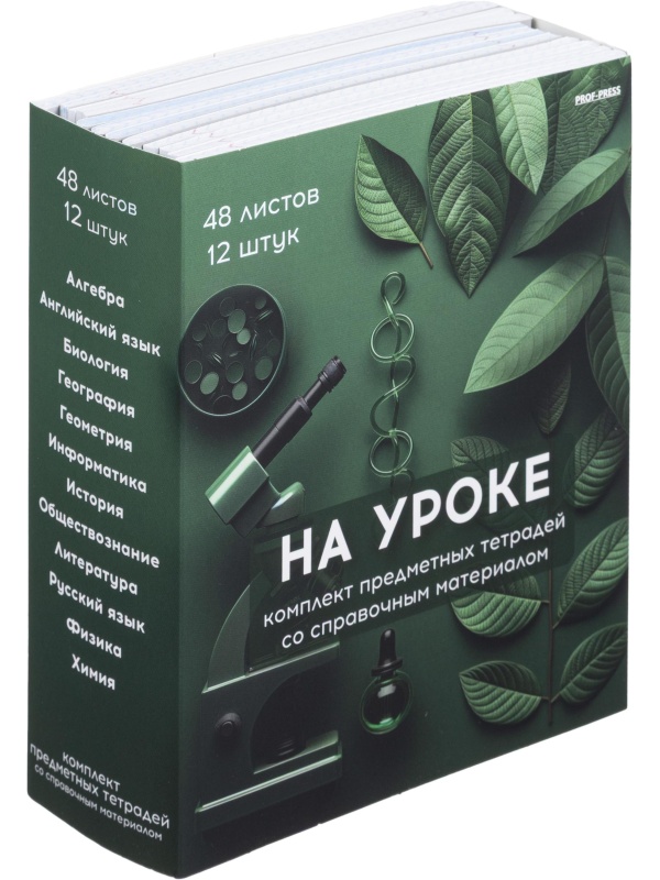 Тетрадь предметная 48л. 'НА УРОКЕ', набор 12 шт., 48-2380