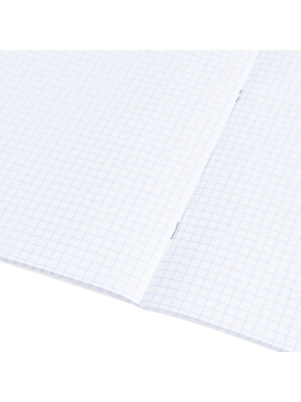 Тетрадь предметная 48л. 'НА УРОКЕ', набор 12 шт., 48-2380