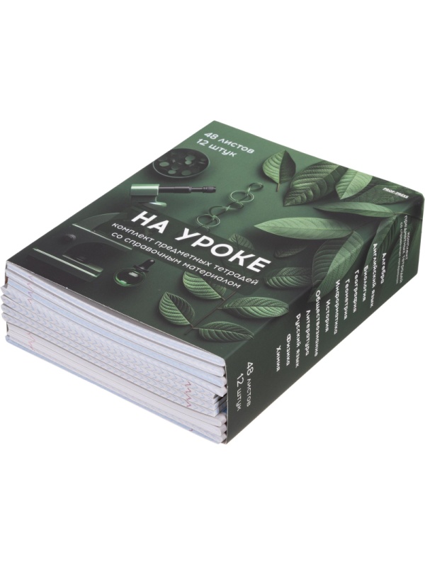 Тетрадь предметная 48л. 'НА УРОКЕ', набор 12 шт., 48-2380