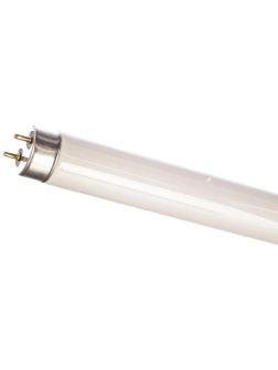 Лампа люминесцентная Camelion FT8-18W/54 6500K 3005