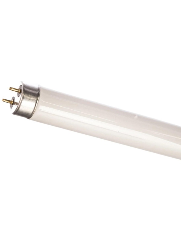 Лампа люминесцентная Camelion FT8-18W/54 6500K 3005