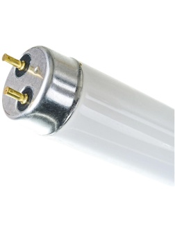 Лампа люминесцентная Camelion FT8-18W/33 4200K 5875