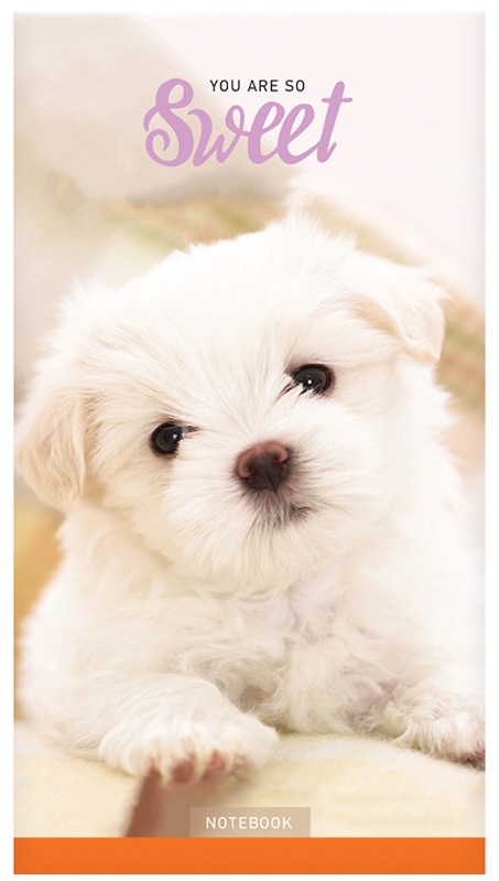 Блокнот А6 24л. на скрепке ArtSpace 