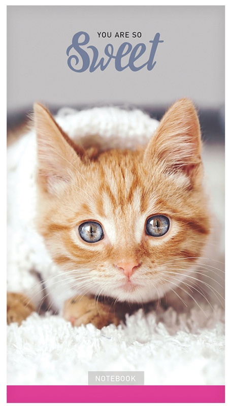 Блокнот А6 24л. на скрепке ArtSpace 