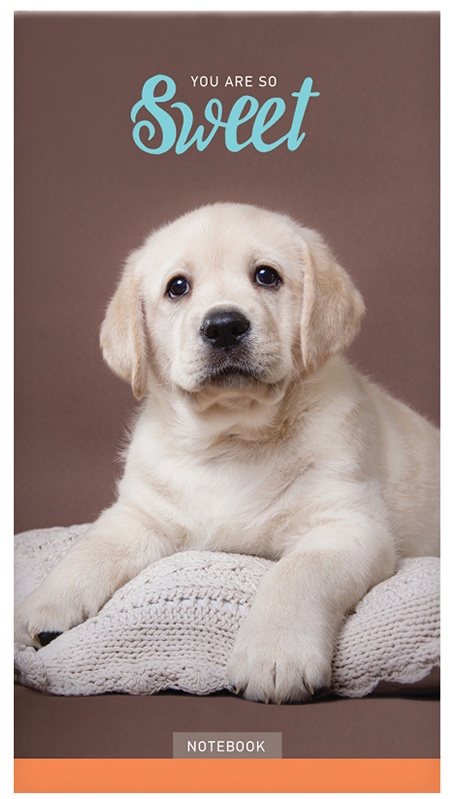 Блокнот А6 24л. на скрепке ArtSpace 