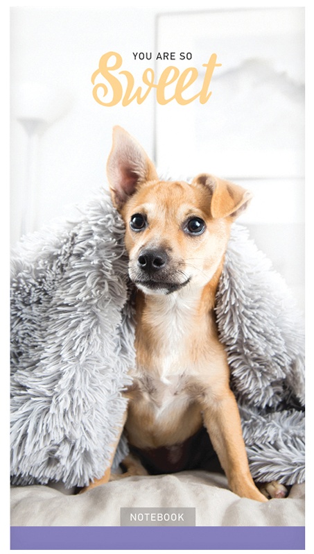 Блокнот А6 24л. на скрепке ArtSpace 