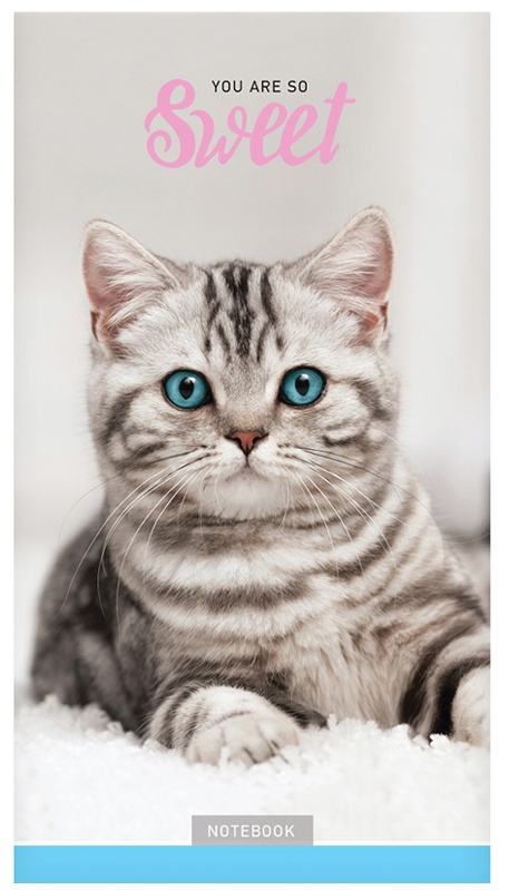 Блокнот А6 24л. на скрепке ArtSpace 